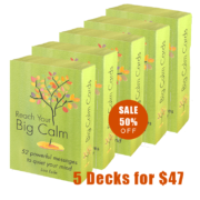 5-PACK of Reach Your BIG CALM: 52 Powerful Messages to Quiet Your Mind